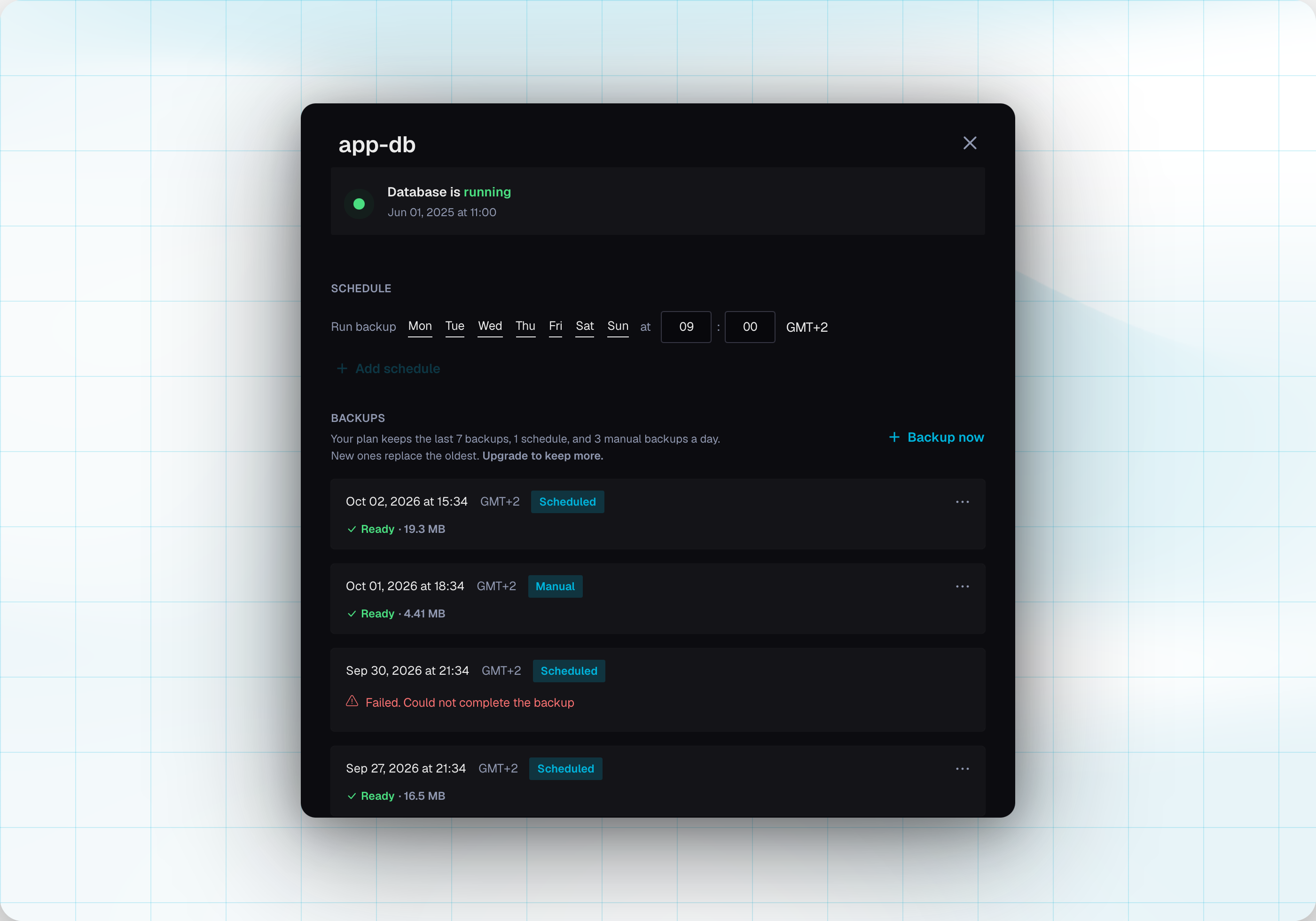 The Backups tab with a daily schedule, plan limits, and ready and failed backups