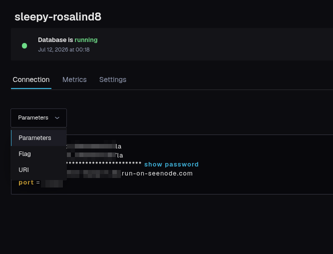 The database Connection tab with the Parameters / Flag / URI format selector