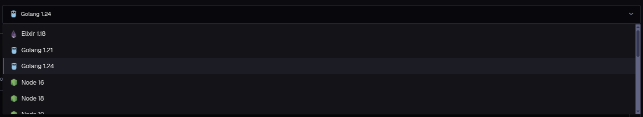 The runtime Image dropdown listing the available languages and versions