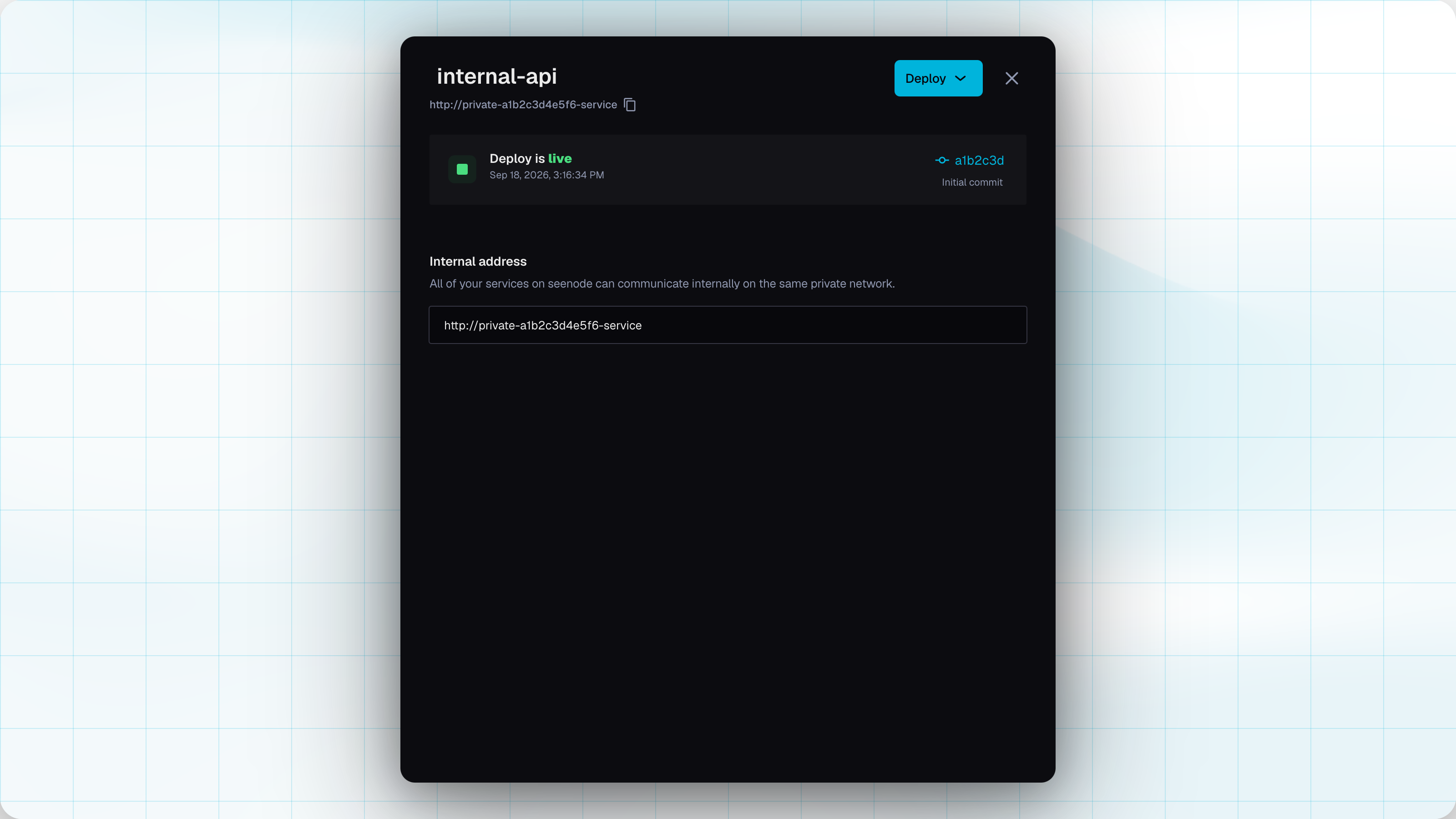 Private service Network tab with the internal HTTP address
