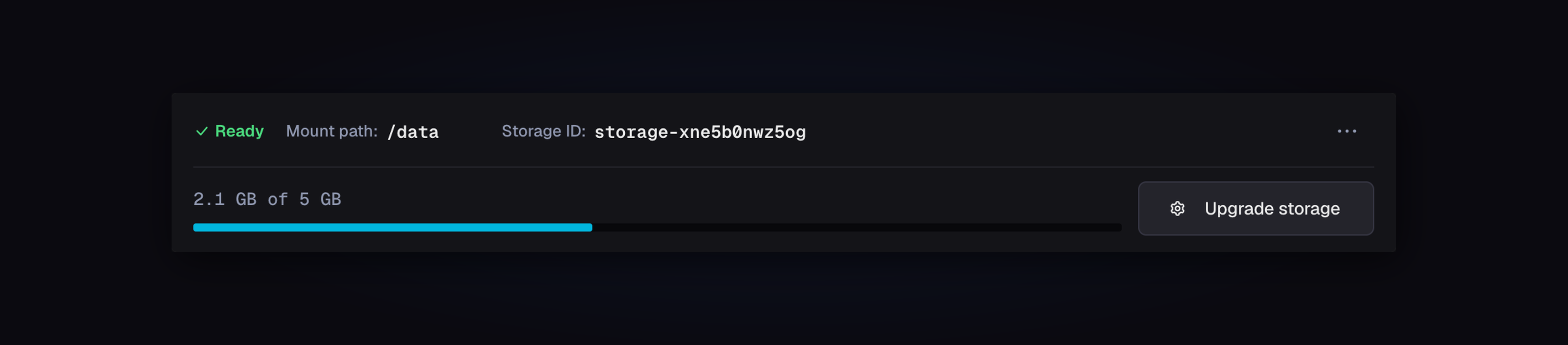 Storage panel showing Ready status, /data mount path, and usage of 2.1 GB of 5 GB
