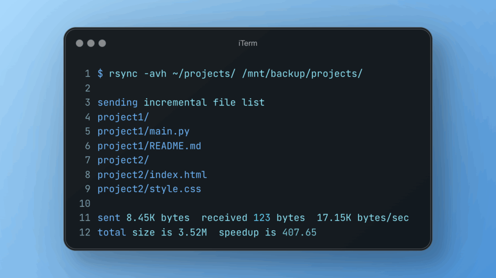 rsync command