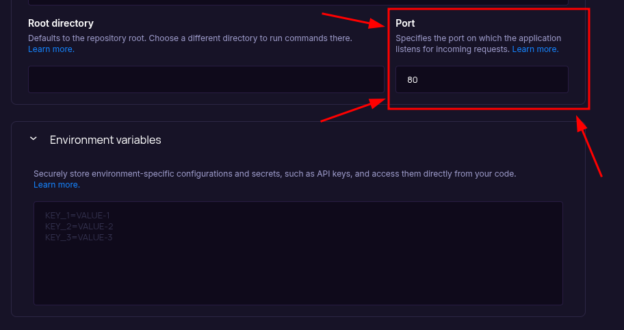 Configure Build & Start: Port field